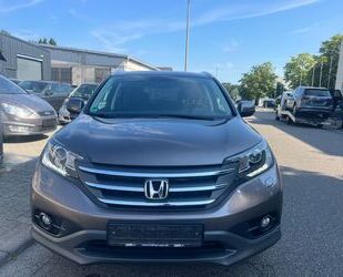 Honda Honda CR-V Executive 4WD Automatik 1.Hand Tüv neu Gebrauchtwagen