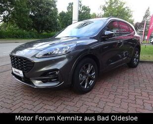 Ford Ford Kuga Plug-In Hybrid ST-Line X Gebrauchtwagen