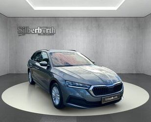 Skoda Skoda Octavia Combi Ambition Gebrauchtwagen