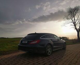 Mercedes-Benz Mercedes-Benz LIEBHABERFAHRZEUG! CLS 500 Shooting Gebrauchtwagen