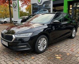 Skoda Skoda Octavia Combi 2.0 TDI Ambition Gebrauchtwagen