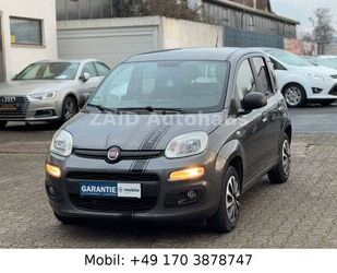 Fiat Fiat Panda More 5Türig*PDC*KLIMA*50000km*2HAND Gebrauchtwagen