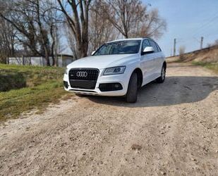 Audi Audi Q5 2.0 TDI S tronic quattro - Gebrauchtwagen