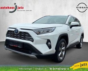 Toyota Toyota RAV4 Hybrid Team Deutschland LED CAM Sitz Gebrauchtwagen