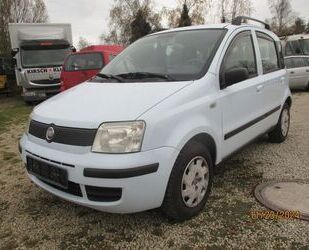 Fiat Fiat Panda 1.1 8V Active KLIMA WINTERREIFEN TÜV 11 Gebrauchtwagen