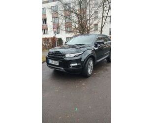 Land Rover Land Rover Range Rover Evoque 2.2 TD4 Pure Pure Gebrauchtwagen