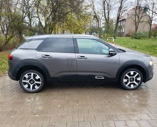 Citroen Citroën C4 Cactus BlueHDi 100 S&S Shine Pack Gebrauchtwagen