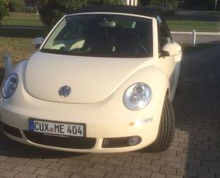 VW Volkswagen New Beetle Cabriolet Gebrauchtwagen