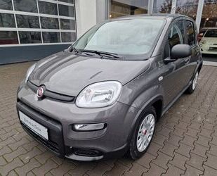 Fiat Fiat Panda Hybrid *BLUETOOTH*USB*DAB* Gebrauchtwagen