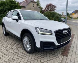 Audi Audi Q2 design, ACC,Sitzh.LED Scheinw. Gebrauchtwagen