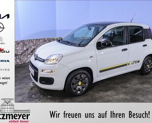 Fiat Fiat Panda 1.2 Young Gebrauchtwagen