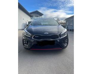 Kia Kia ceed / Ceed 1.6 T-GDI GT-Challenge GT-Challeng Gebrauchtwagen