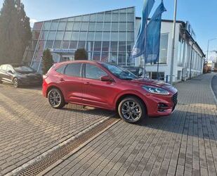 Ford Ford Kuga Hybrid ST-Line X Gebrauchtwagen