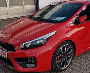 Kia Kia ceed / Ceed 1.6 T-GDI GT-Challenge GT-Challeng Gebrauchtwagen