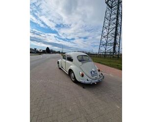 VW Volkswagen Käfer Gebrauchtwagen