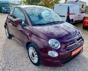 Fiat Fiat 500 1.0 Hybrid Lounge KLIMA PDC SHZ CARPLAY A Gebrauchtwagen