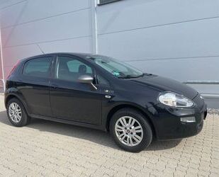 Fiat Fiat Punto 1.2 Young 1.Hand*Klima*Navi*PDC*Alu Gebrauchtwagen