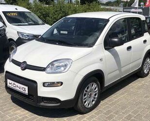 Fiat Fiat Panda MY24 1.0 Klima PDC Radio Gebrauchtwagen