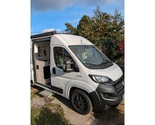 Fiat Fiat Ducato Gebrauchtwagen