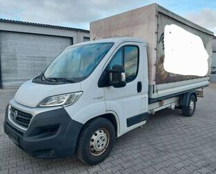 Fiat Ducato Gebrauchtwagen