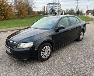 Skoda Skoda Octavia Limo Active 1,6 TDI Gebrauchtwagen