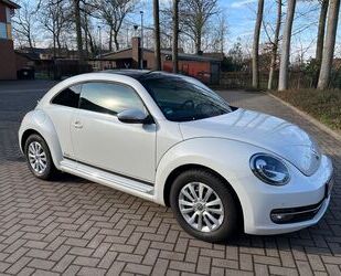 VW Volkswagen Beetle 1.4 TSI CUP Pano, SHZ 8-fach-ber Gebrauchtwagen