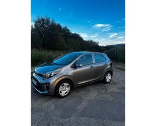 Kia Kia Picanto 1.0 Vision Vision Gebrauchtwagen