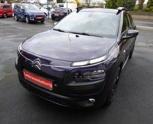 Citroen Citroën C4 Cactus Shine PureTech 110 Panoramadach Gebrauchtwagen