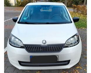 Skoda Skoda Citigo 1.0 G-TEC Cool Edition Green tec Cool Gebrauchtwagen