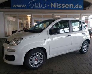 Fiat Fiat Panda 1,0 Hybrid Life City DAB Klima ZV Gebrauchtwagen