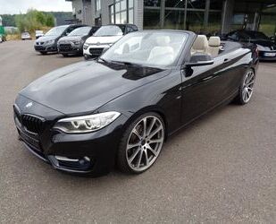 BMW BMW 220i Cabrio, SHZ, Tempomat, Xenon, 20 Zoll-Alu Gebrauchtwagen