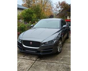 Jaguar Jaguar XE 20d 180PS Prestige Automatik Prestige Gebrauchtwagen