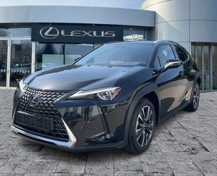 Lexus Lexus UX 300h Executive Line Premium Paket* Navi Gebrauchtwagen