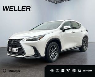 Lexus Lexus NX 350h *Navi*LED*Kamera*ACC*Spurhalteassist Gebrauchtwagen