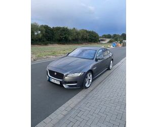 Jaguar Jaguar XF 20d AWD R-Sport Automatik Gebrauchtwagen