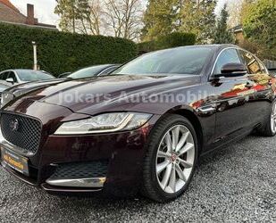 Jaguar Jaguar XF Portfolio*Pano*Top Geflegt*SCHECKHEFT*GA Gebrauchtwagen