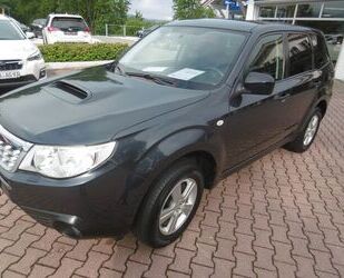 Subaru Subaru Forester 2.0D Active, AHK, Spiegelnavi Gebrauchtwagen