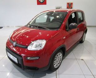 Fiat Fiat Panda Pandina 1.0 - Klima-Bluetooth-Tempomat- Gebrauchtwagen