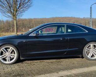 Audi S5 Gebrauchtwagen