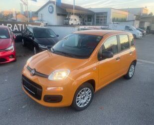 Fiat Fiat Panda Lounge/dt.Modell Gebrauchtwagen