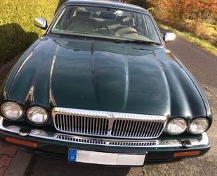 Jaguar Jaguar Daimler Double Six Gebrauchtwagen