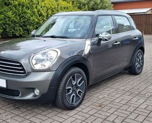 Mini MINI Cooper Countryman Cooper*Sport Button-Leder - Gebrauchtwagen