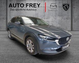 Mazda Mazda CX-30 2.0-X 179PS Selection+LEDER+ANHÄNGEVOR Gebrauchtwagen