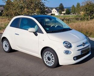 Fiat Fiat 500 1.0 GSE N3 Hybrid LOUNGE Gebrauchtwagen