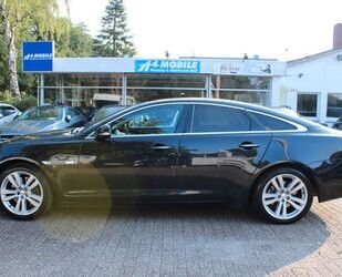 Jaguar Jaguar XJ Portfolio Navi Leder SSD SHZ Memory Gebrauchtwagen