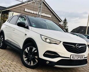 Opel Opel Grandland (X) 120 Jahre*LED*LEDER*NAVI*KAMERA Gebrauchtwagen