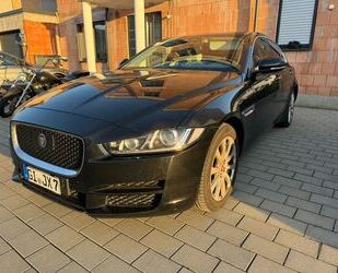 Jaguar Jaguar XE 20d 180PS AWD Pure Automatik Pure Gebrauchtwagen