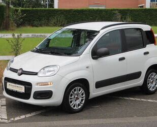 Fiat Fiat Panda Easy*Top Zustand*TÜV NEU*Garantie* Gebrauchtwagen