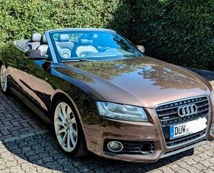 Audi Audi A5 3.0 TDI (DPF) S tronic quattro Cabrio Gebrauchtwagen