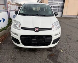 Fiat Fiat Panda Easy Gebrauchtwagen